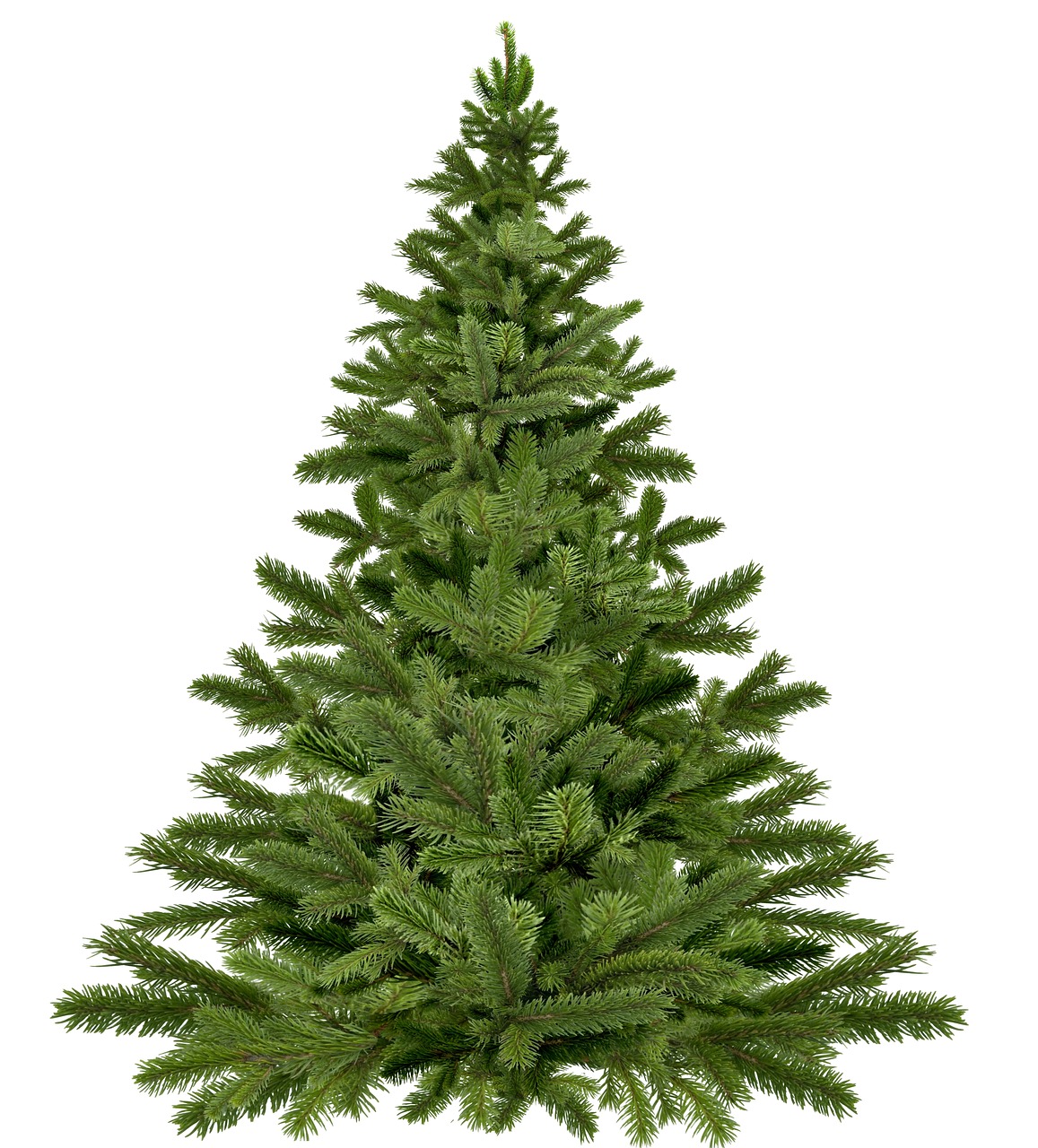 Weihnachtsbaumservice Aura